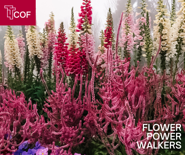 Flower Power Walkers