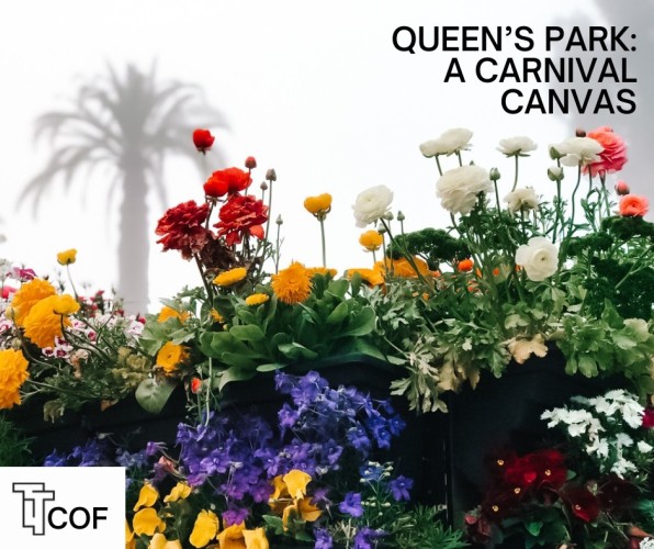 Toowoomba’s Queen’s Park: A Carnival Canvas